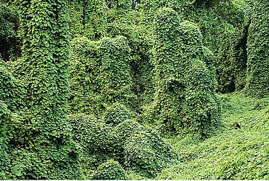 动视暴雪称将为捍卫收购交易而战 合并好处多多