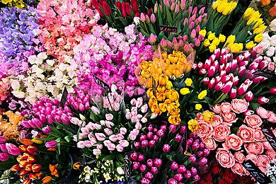 《宝可梦：朱＆紫》将于2月下旬更新功能修复异常问题